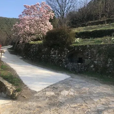 Avec Terrasse Dans Mas Historique Cevenol *