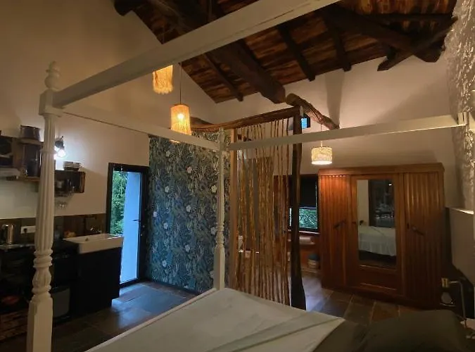 Апартаменты Avec Terrasse Dans Mas Historique Cevenol Saint-Paul-la-Coste