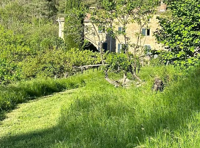 Avec Terrasse Dans Mas Historique Cevenol * Saint-Paul-la-Coste